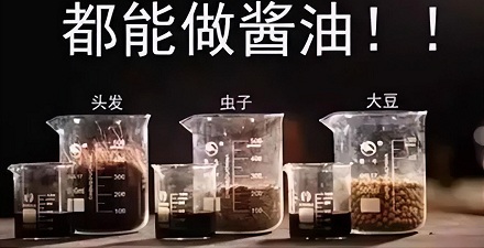 头发可以用来做酱油？