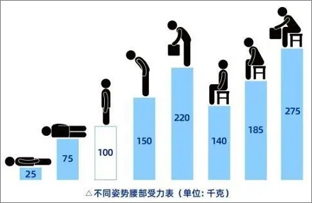 站姿 vs. 坐姿：脊柱所受的压力哪个更小？