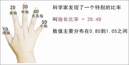 男朋友一定要找无名指长的？